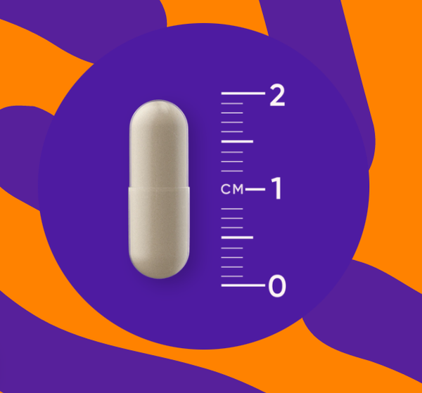 Probiotiques - 60 gélules - Orangefit
