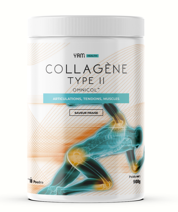 Collagène type 2 - Yam nutrition